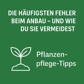 Seed Supplier Grow Academy