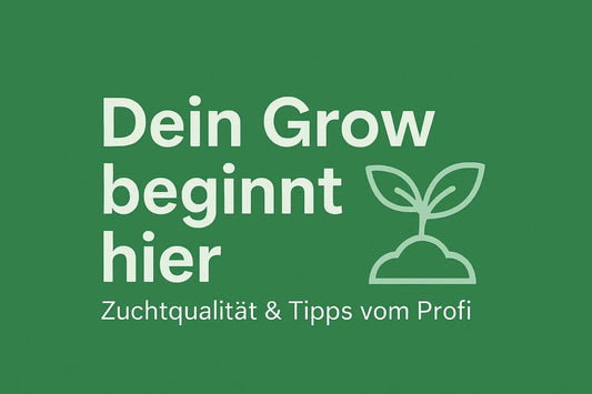 Grünes Banner mit Text "Dein Grow beginnt hier" und Pflanzensymbol, Untertitel "Zuchtqualität & Tipps vom Profi