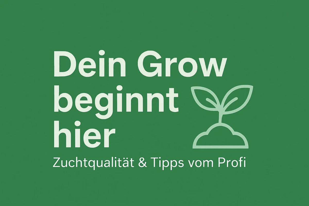 Grünes Banner mit Text 