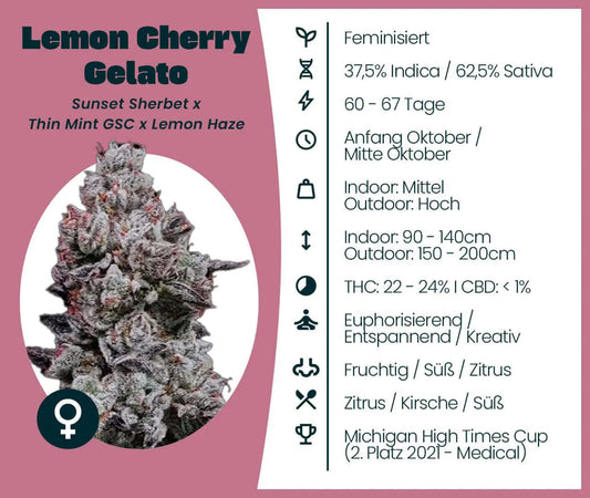 Lemon Cherry Gelato Cannabissamen feminisiert Strainkarte