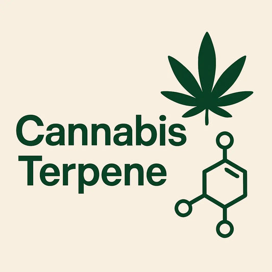 Seed Supplier Grow Academy