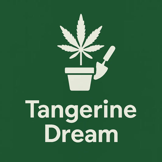 Tangerine Dream Cannabis Samen Grafik mit Cannabisblatt in Blumentopf und Schaufel auf grünem Hintergrund