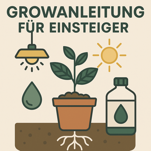 Cannabis Rezepte