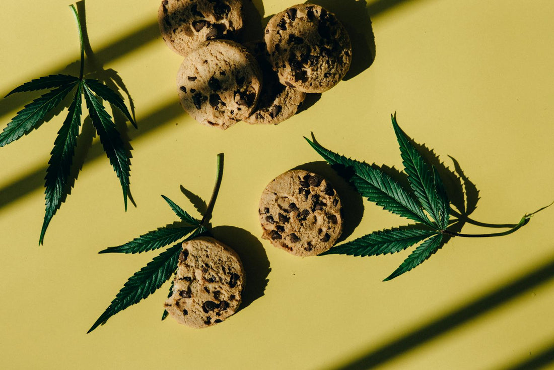 Selbstgemachte Cannabis Cookies mit Hanfblaettern als Edibles aus Cannabutter
