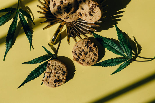 Cannabis Kekse mit Hanfblättern auf einem Teller als Beispiel für Edibles