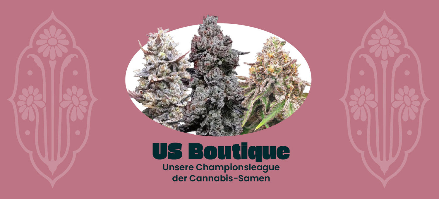 Alle US Boutique Samen