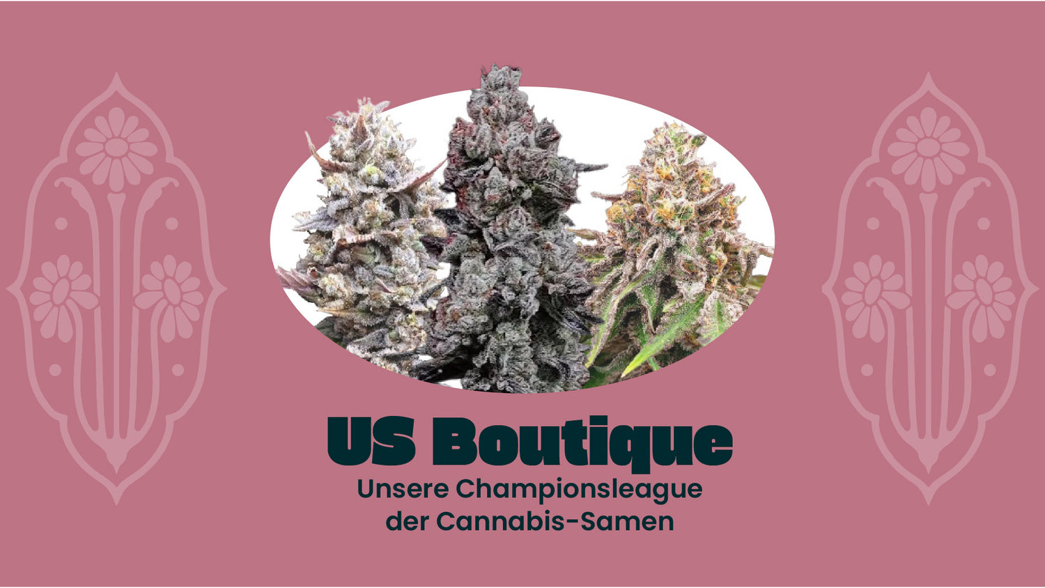 US Boutique Feminisiert