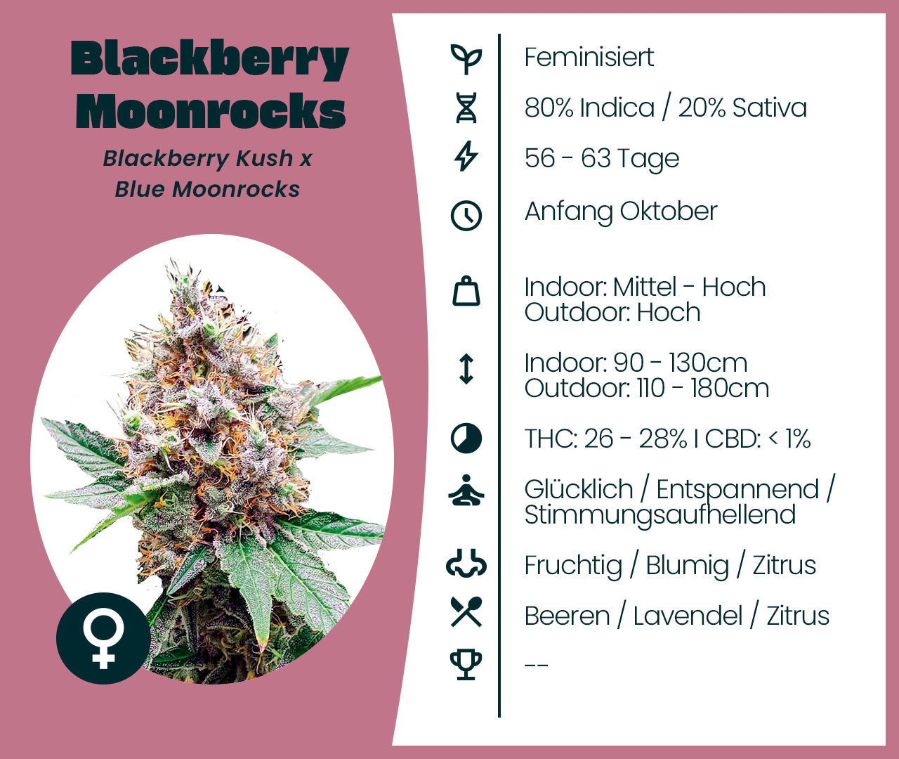 Blackberry Moonrocks