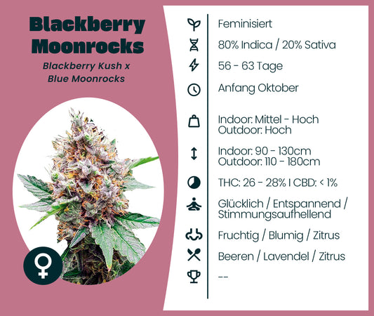 Blackberry Moonrocks