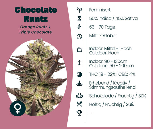 Chocolate Runtz