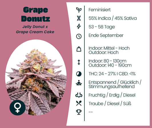 Grape Donutz