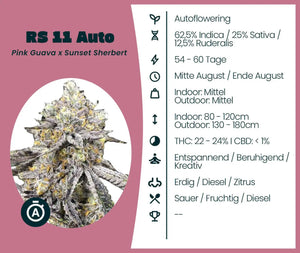 RS 11 Automatic
