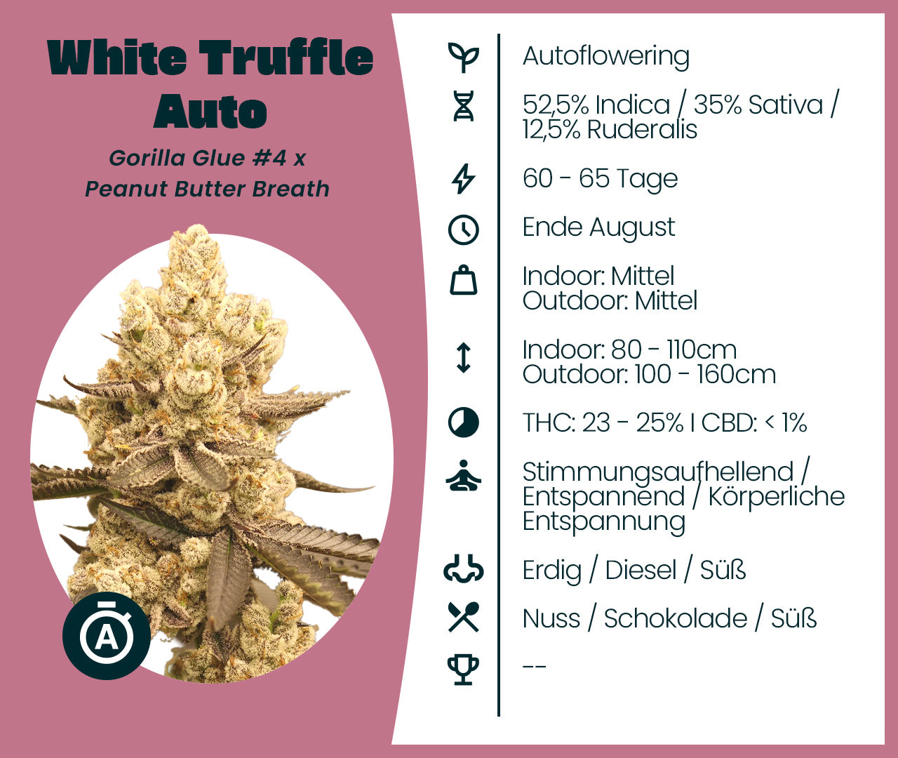 White Truffle Automatic
