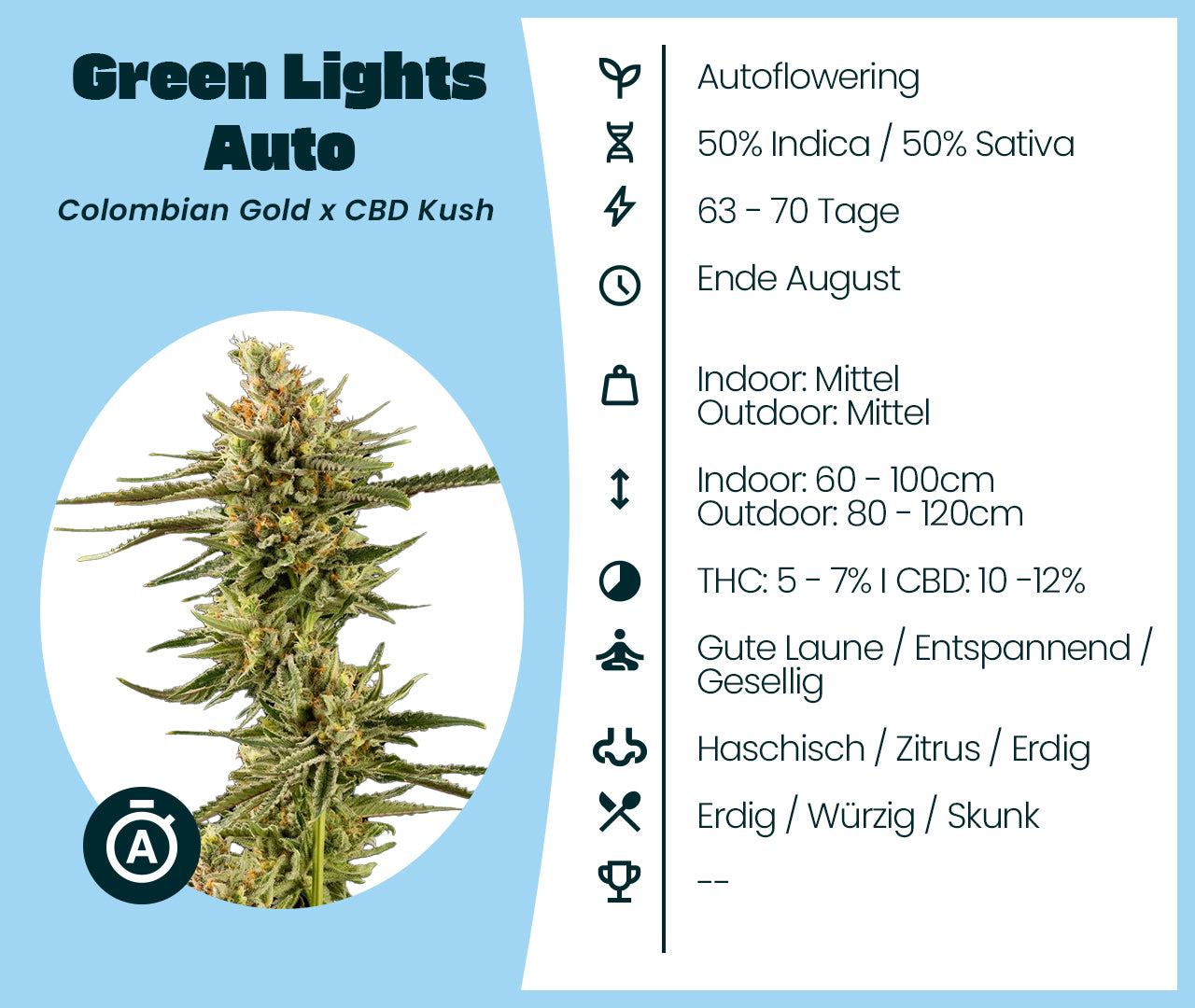 Green Lights Auto Cannabissorte mit Karteikarte: Genetik, Blütezeit, Wuchshöhe, THC- und CBD-Gehalt, Wirkung und Aroma
