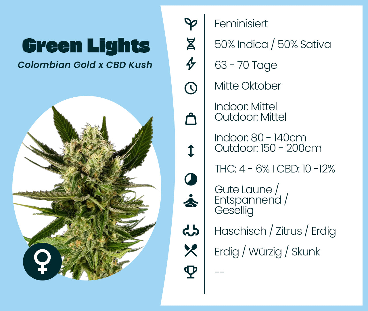 Green Lights Cannabissorte mit Karteikarte: Genetik, Blütezeit, Wuchshöhe, THC- und CBD-Gehalt, Wirkung und Aroma