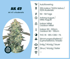 AK 47 Automatic