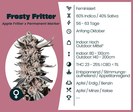Frosty Fritter cannabis seeds featuring dense buds with 60% Indica, 40% Sativa, and 23% THC for a balanced, relaxing high.