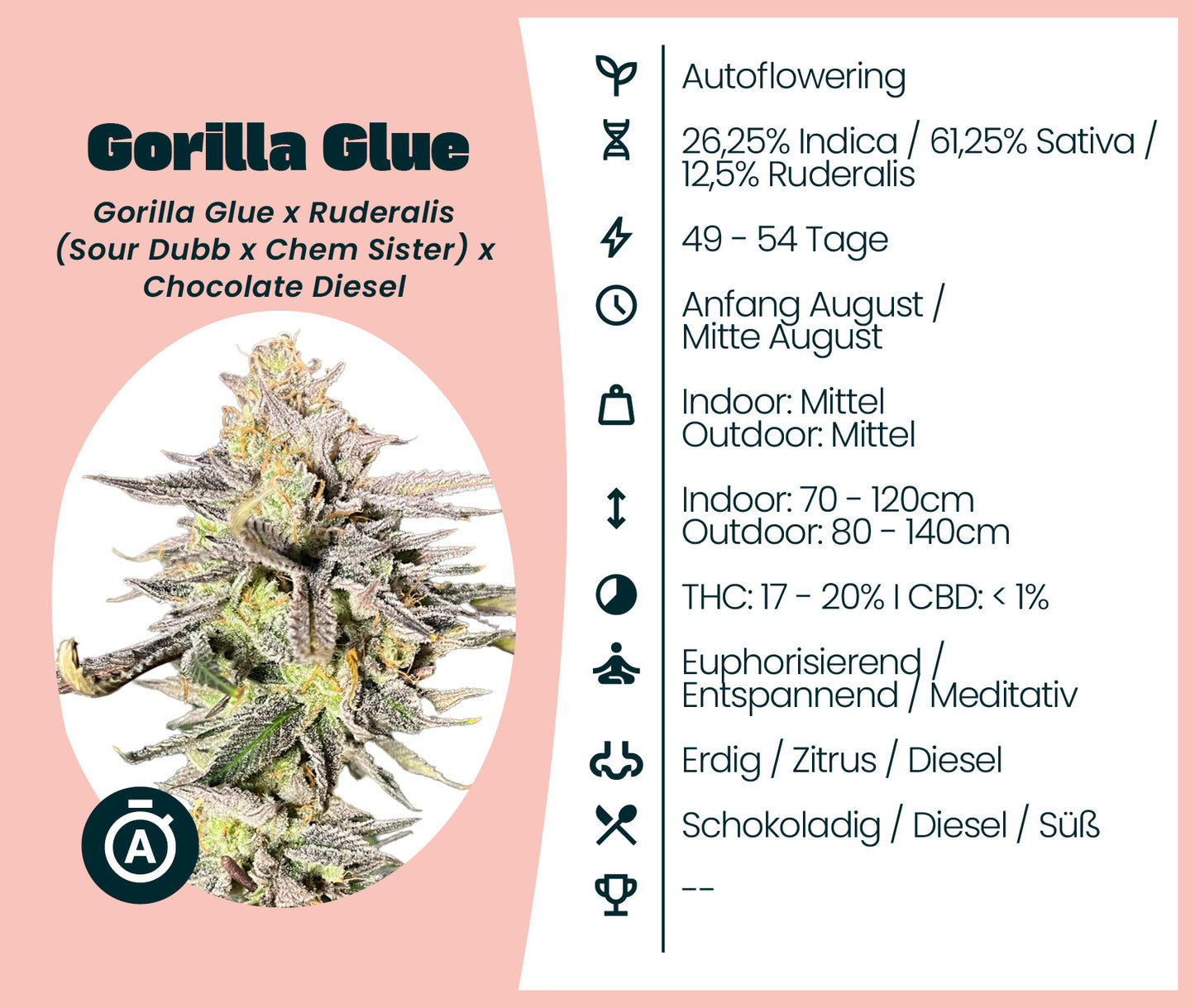 Gorilla Glue Automatic