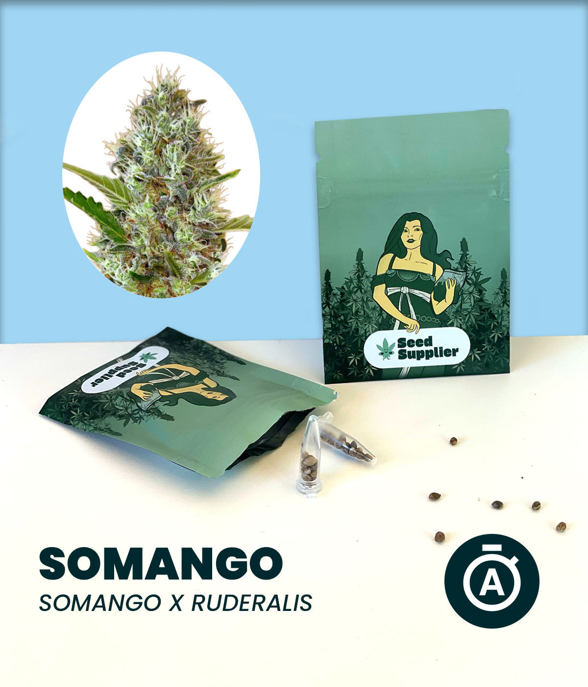 Somango Automatic