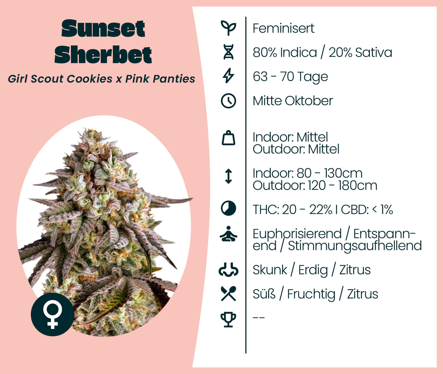 Sunset Sherbet