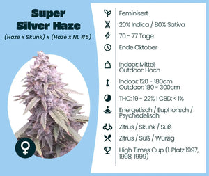 Super Silver Haze