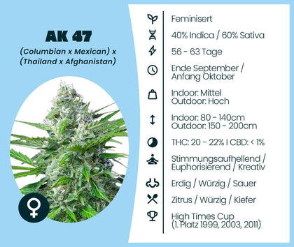 Detail view of AK 47 cannabis seeds product features, featuring 40% Indica and 60% Sativa genetics. Keywords: Cannabis-Samen.