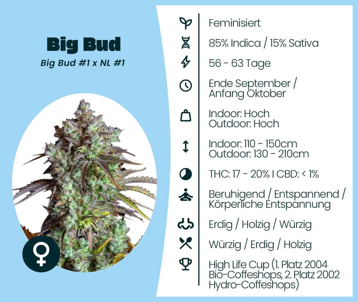 Big Bud Samen · Feminisiert 17-20% THC