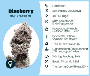 Blueberry
