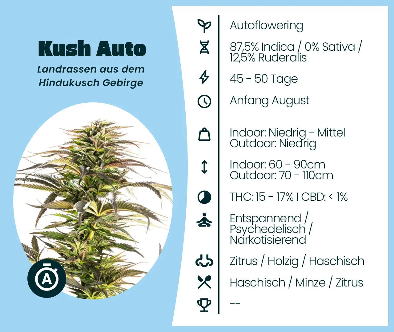 Kush Auto Samen · Autoflower 15-17% THC
