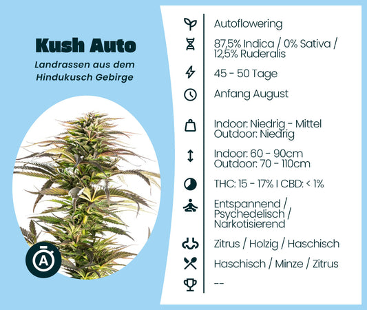 Kush Automatic