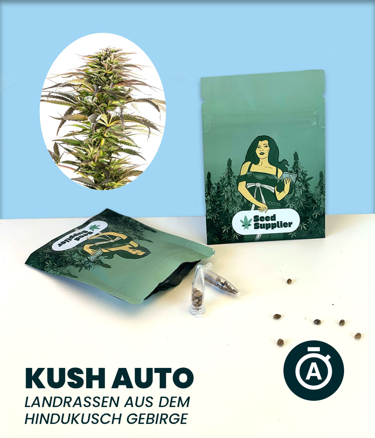 Gratis Samen - Kush Autoflowering