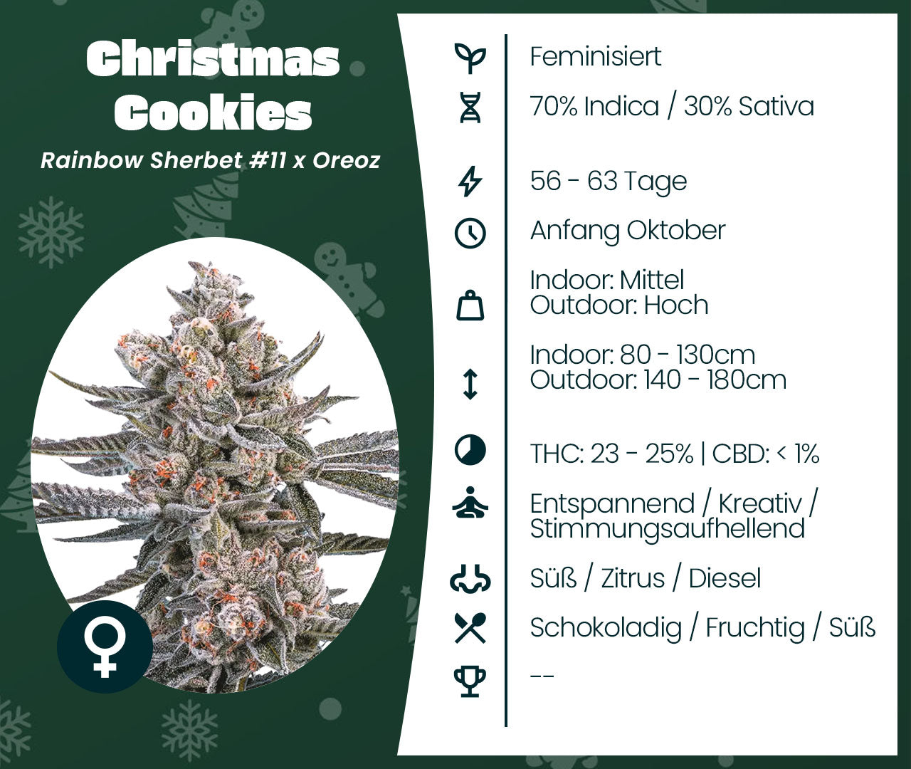 Christmas Cookies