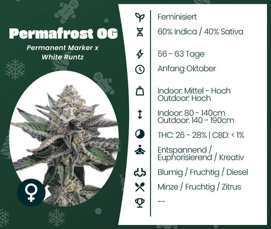 Permafrost OG Seed Supplier