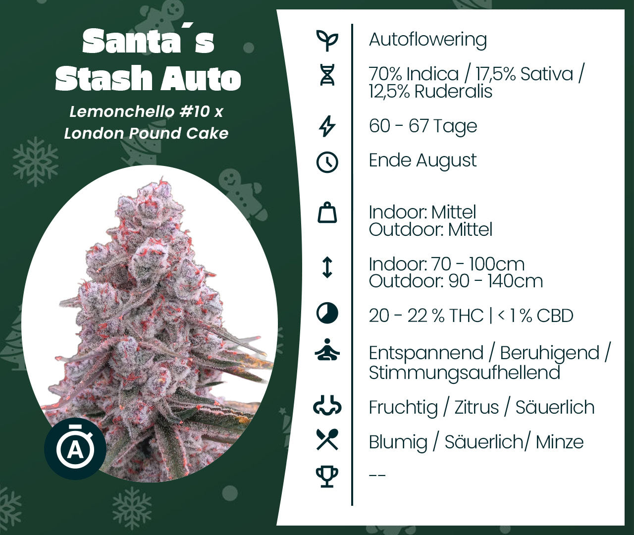 Santa’s Stash Auto