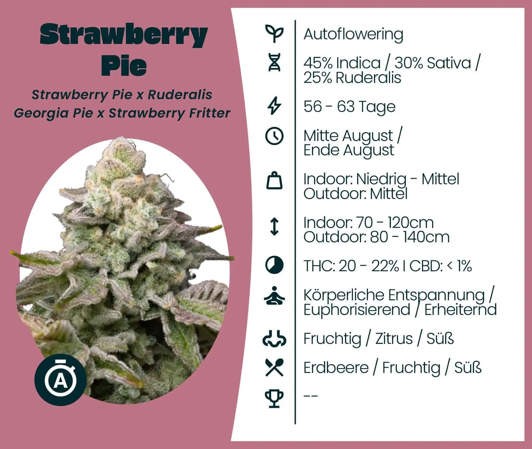 strawberry pie auto seeds Strawberry Pie Samen · Autoflower 20-22% THC