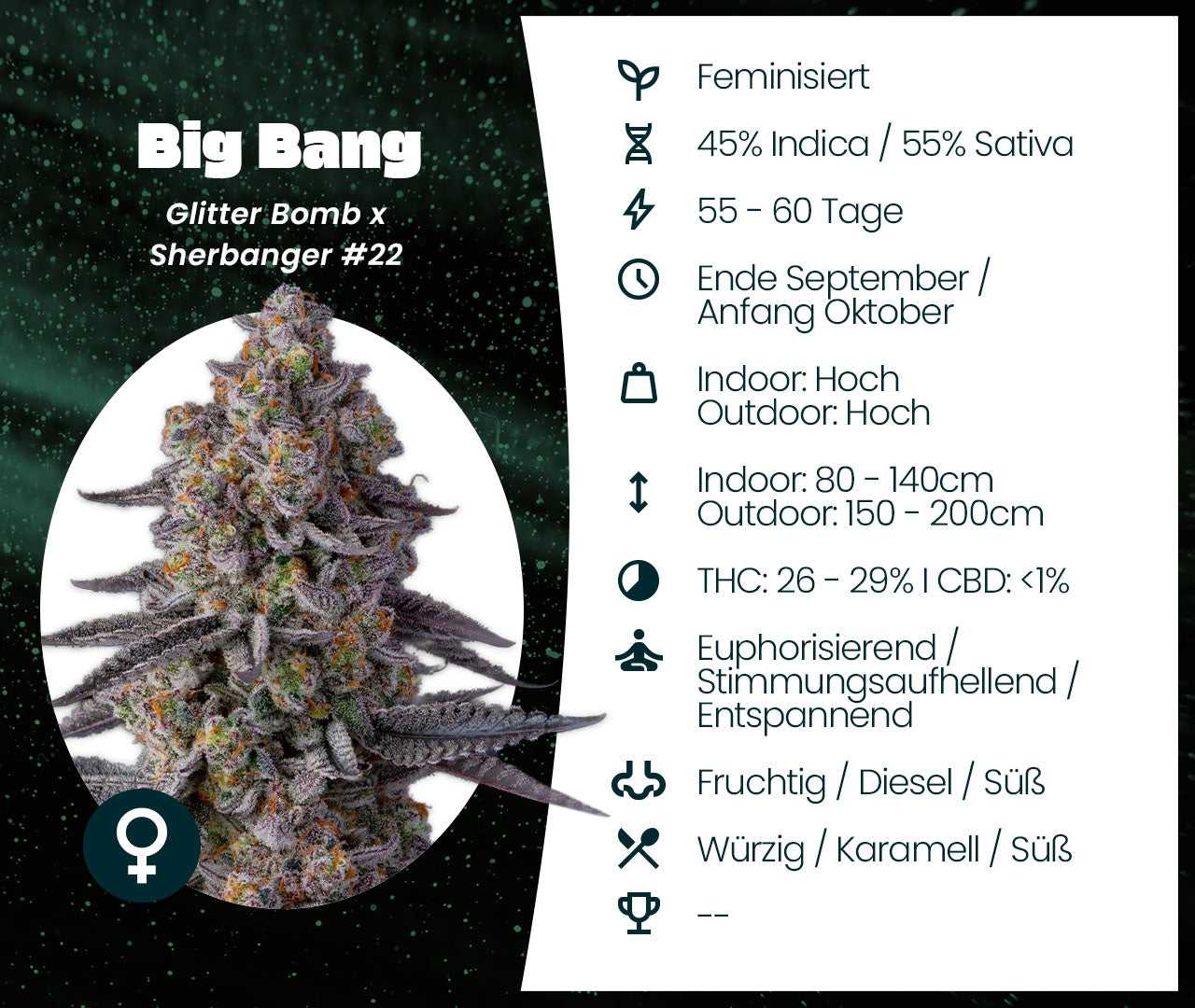 Big Bang