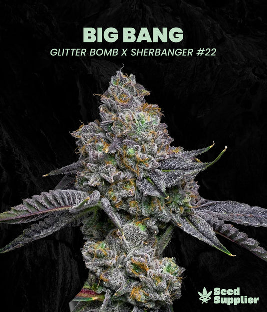 Big Bang
