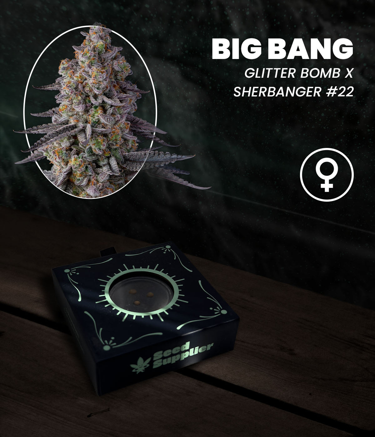 Big Bang