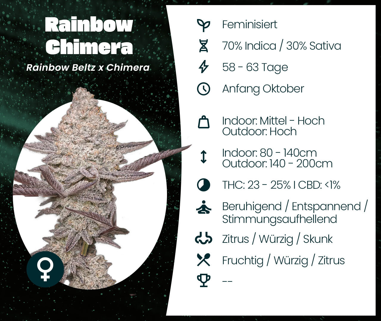 Rainbow Chimera