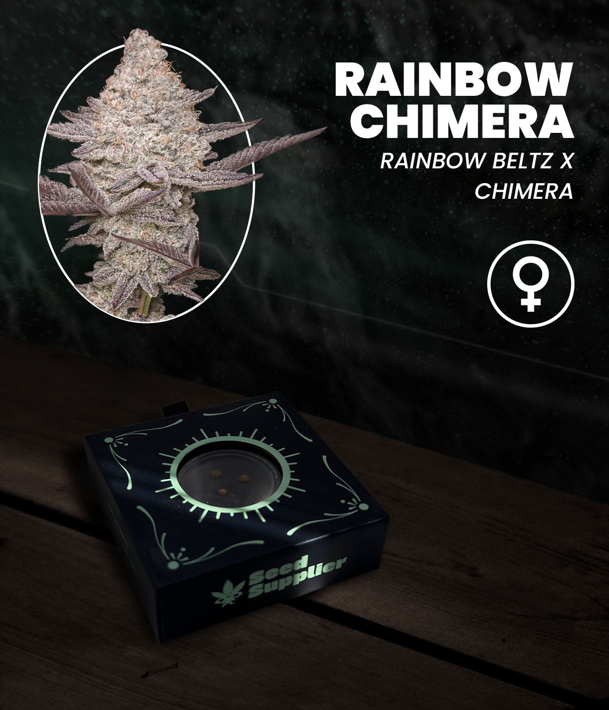 Rainbow Chimera