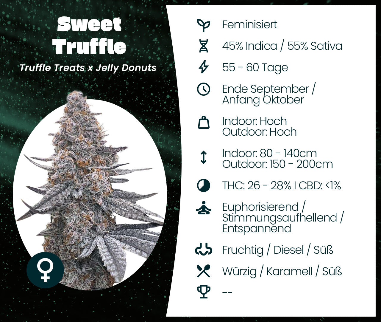 Sweet Truffle