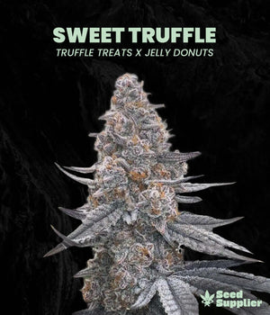 Sweet Truffle