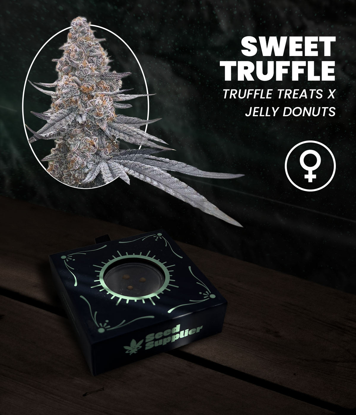 Sweet Truffle