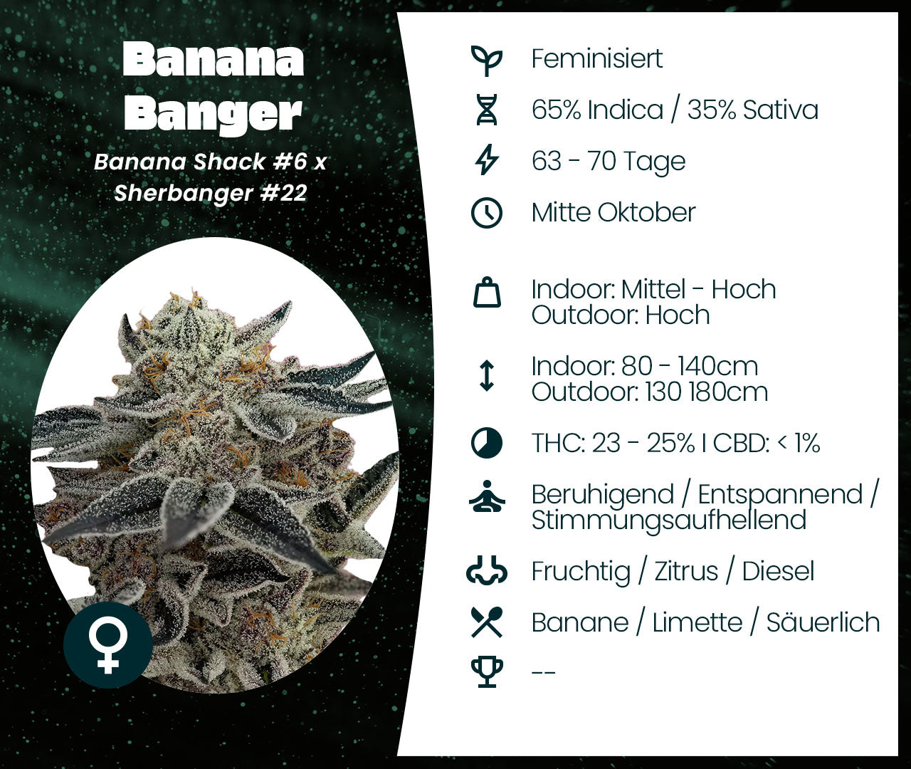 Banana Banger