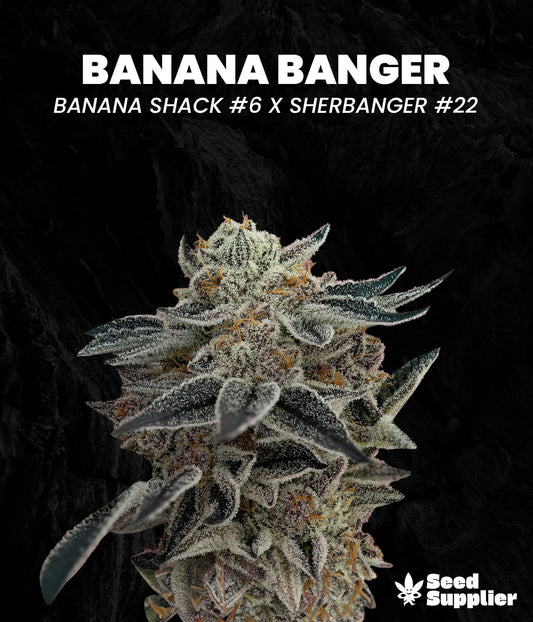 Banana Banger