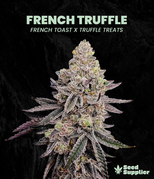 French Truffle