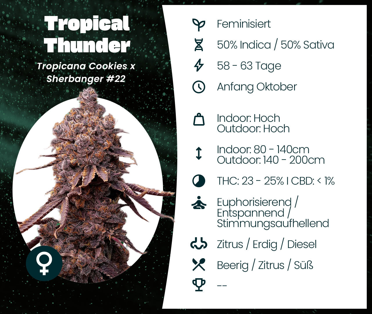 Tropical Thunder
