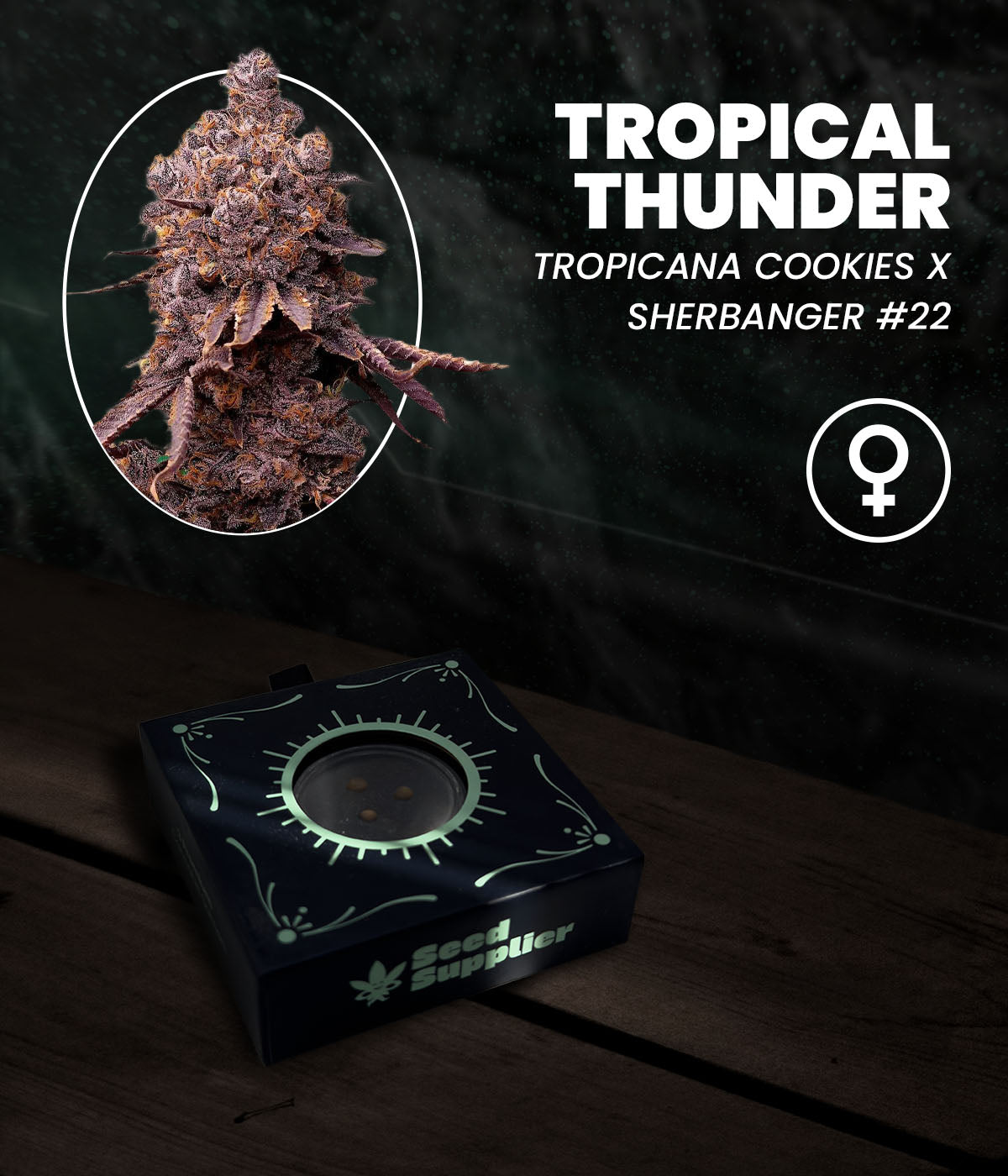 Tropical Thunder