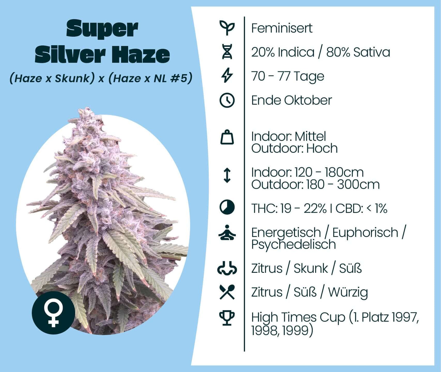 Gratis Samen - Super Silver Haze
