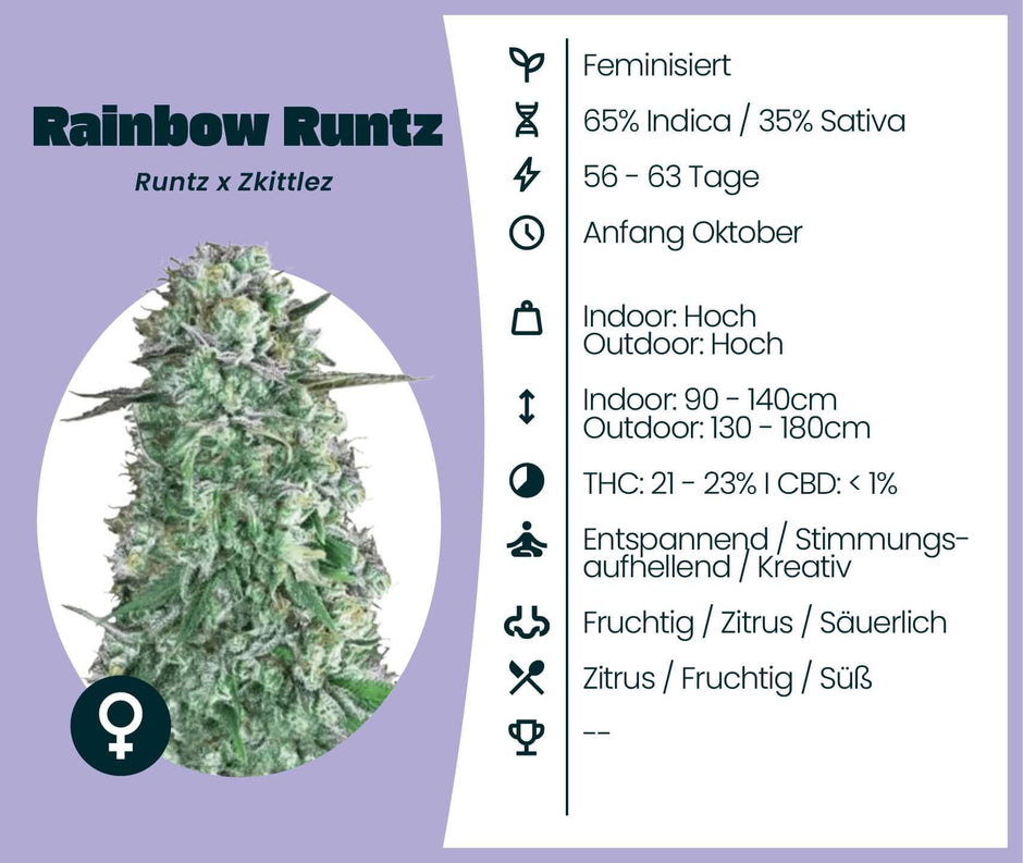 Cannabissamen zum besten Preis | Hanfsamen | Seed Supplier